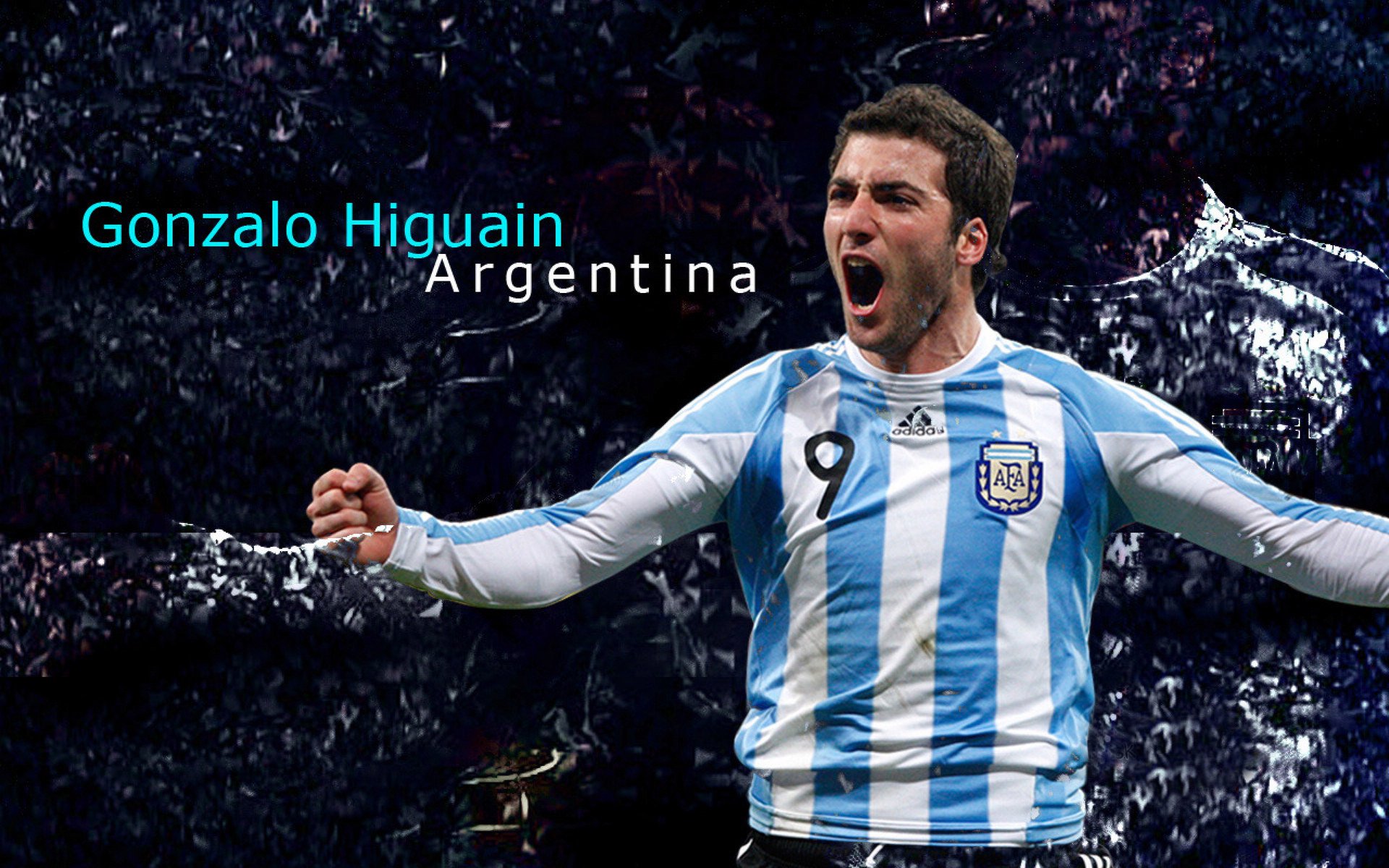 运动装备技术研发项目,运动装备技术研发项目有哪些